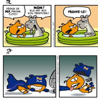 BD - Bande Dessinée